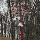 zdjęcie nr 51