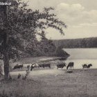 zdjęcie nr 38
