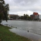 zdjęcie nr 14