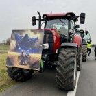 zdjęcie nr 7