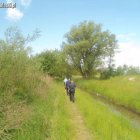  nadesłane/Straż Miejska w Elblągu