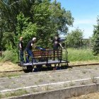 zdjęcie nr 38