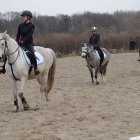 zdjęcie nr 35