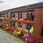zdjęcie nr 14