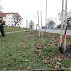 zdjęcie nr 13