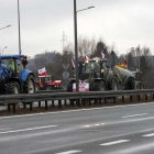 zdjęcie nr 95