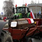 zdjęcie nr 100
