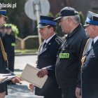 zdjęcie nr 43