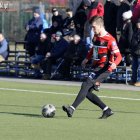 zdjęcie nr 12