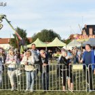 zdjęcie nr 201