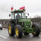 zdjęcie nr 75