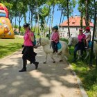 zdjęcie nr 33