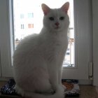 zdjęcie nr 53