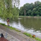 zdjęcie nr 8