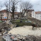 zdjęcie nr 17