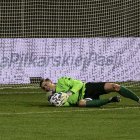 zdjęcie nr 11