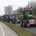 zdjęcie nr 40