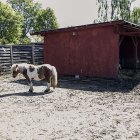 zdjęcie nr 36