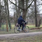 zdjęcie nr 15