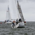 zdjęcie nr 55