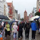 zdjęcie nr 99