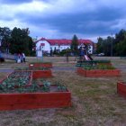Eko-ogródek w centrum Elbląga Aleksandra Szymańska