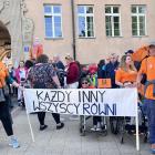zdjęcie nr 82