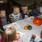 zdjęcie nr 10