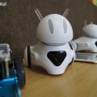 Lekcja pokazowa z wykorzystaniem robotów w SP nr 19 Aleksandra Szymańska