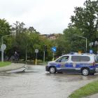zdjęcie nr 46