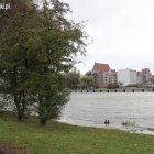 zdjęcie nr 11