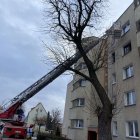 zdjęcie nr 11