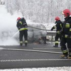zdjęcie nr 14
