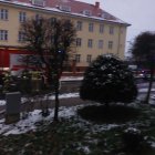 Fotka nr 4 z 10