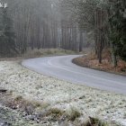 zdjęcie nr 8