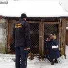 Fotka nr 5 z 7