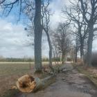 zdjęcie nr 31