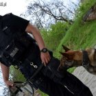  Komenda Miejska Policji w Elblągu