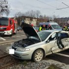 Fotka nr 2 z 8