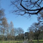 Straż Miejska kontrole Straż Miejska