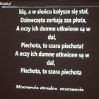 zdjęcie nr 17