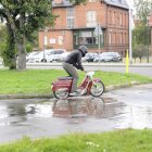 zdjęcie nr 34
