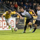 zdjęcie nr 16