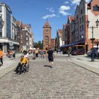 zdjęcie nr 35