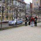 zdjęcie nr 9