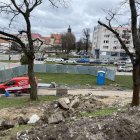 zdjęcie nr 12