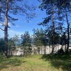zdjęcie nr 22