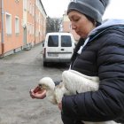 zdjęcie nr 13