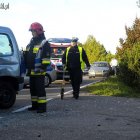 zdjęcie nr 11