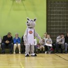 zdjęcie nr 130
